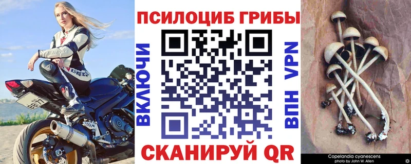 Псилоцибиновые грибы Psilocybe  гидра tor  Лиски 
